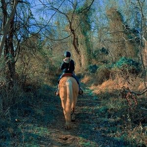 Meet your Posher, Tia